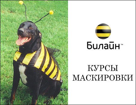 Шутки про Билайн