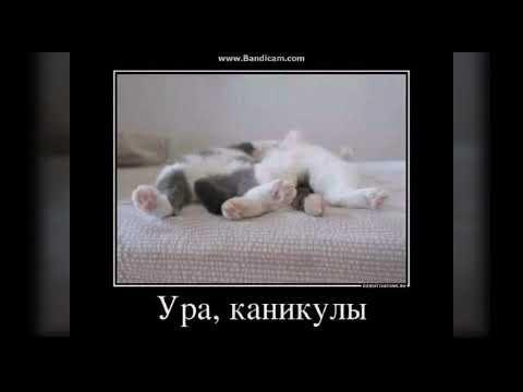 Ура каникулы прикольные