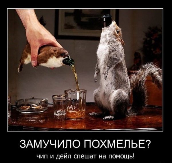 Девушка с похмелья