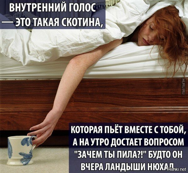 Опохмелиться картинки смешные (53 фото)