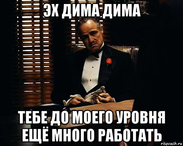 Дима шутки