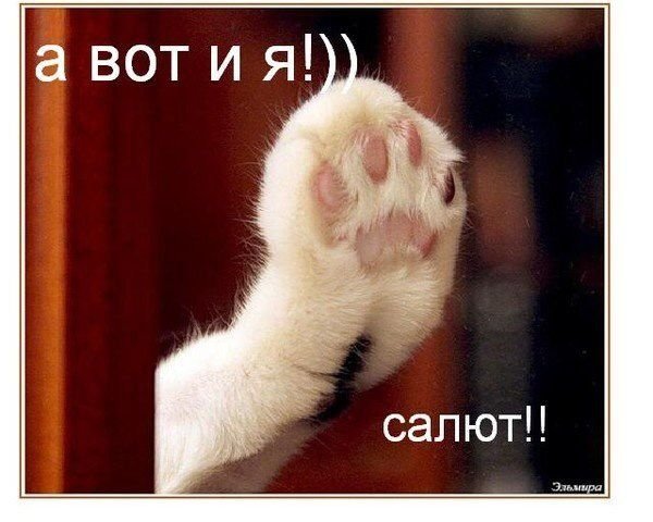 Открытки а вот и я