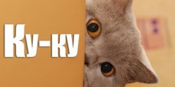 Ку ку привет