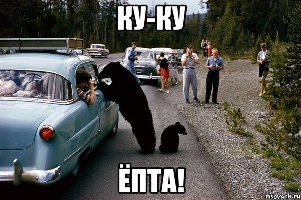 Ку-ку картинки прикольные