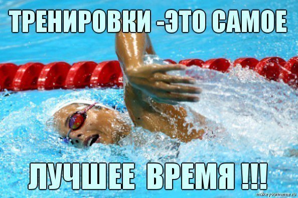 Смешные высказывания про плавание