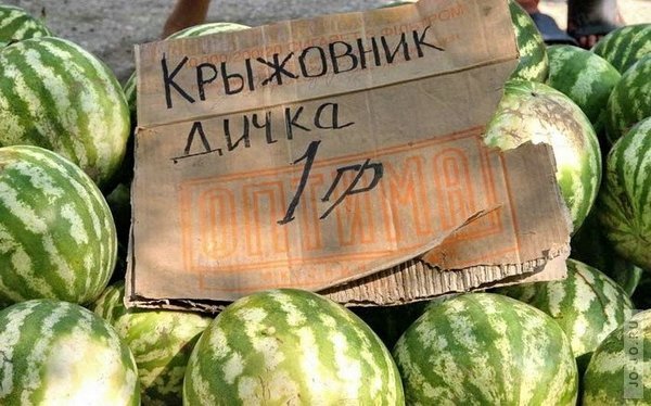 Арбуз прикол