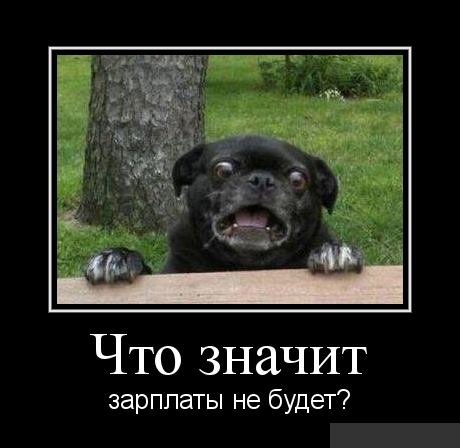 Шутки про зарплату