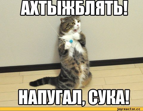 Приколы с матом