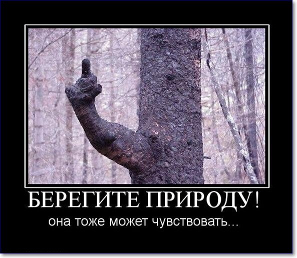 Смешные нецензурные демотиваторы