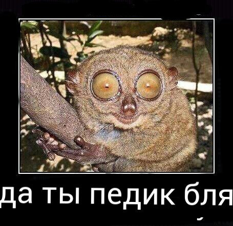 Картинки с матными приколами