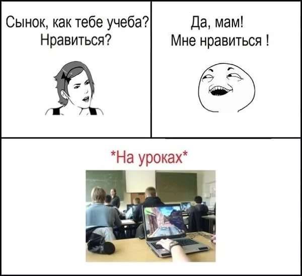 Приколы про учебу