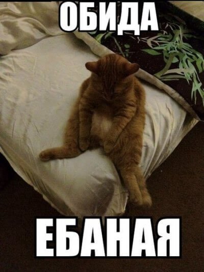 Я обиделась