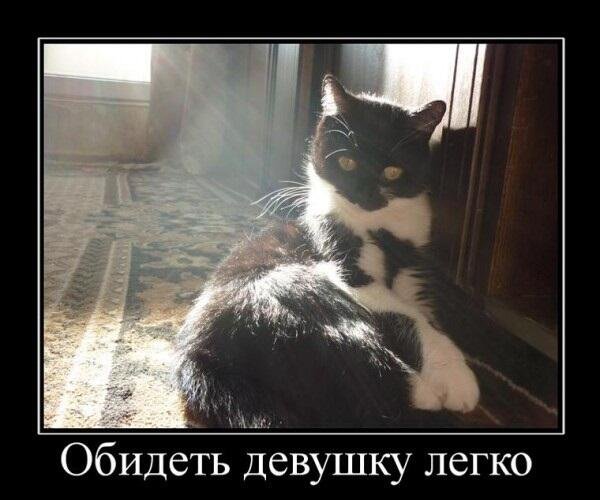 Обида демотиваторы