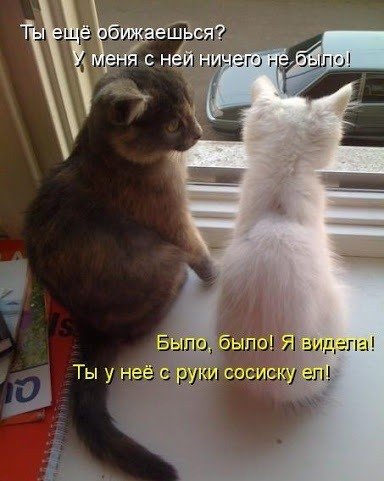Ты обиделся на меня