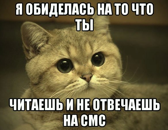 Я на тебя обиделась