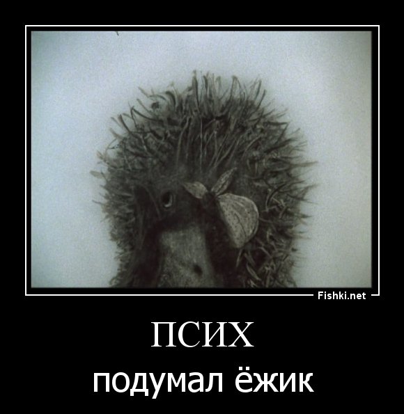 Псих подумал Ежик
