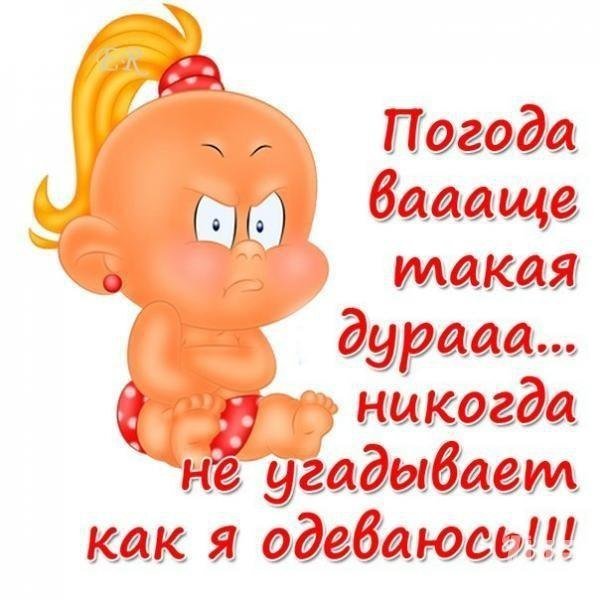 Открытки весёлые про погоду