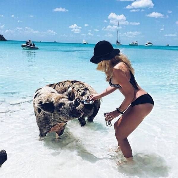 Смешные снимки для Инстаграм