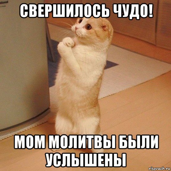 Аллилуйя свершилось чудо