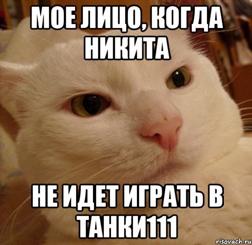 Мемы с именем Никита