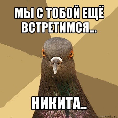 Мемы про Никиту