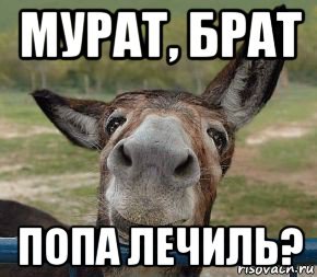Мурад Мем
