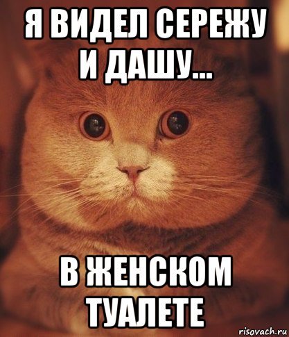 Приколы про Дашу