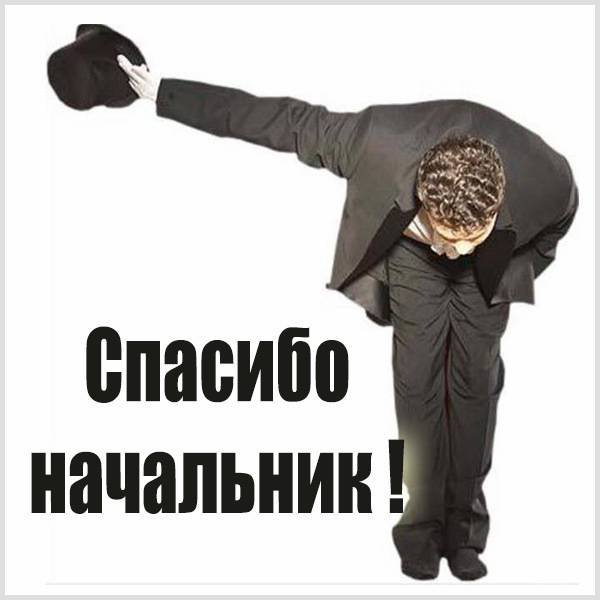 Спасибо начальник