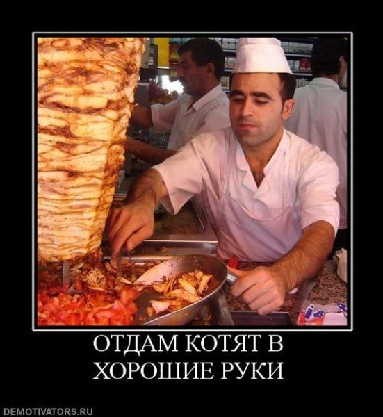 Смешная шаурма