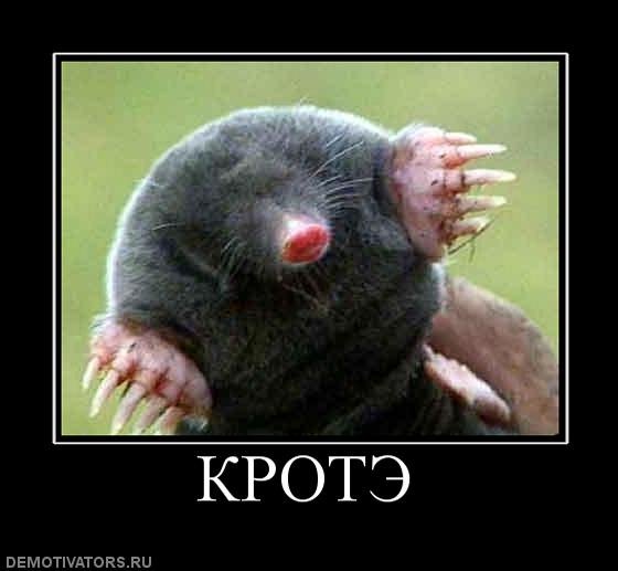 Смешной Крот