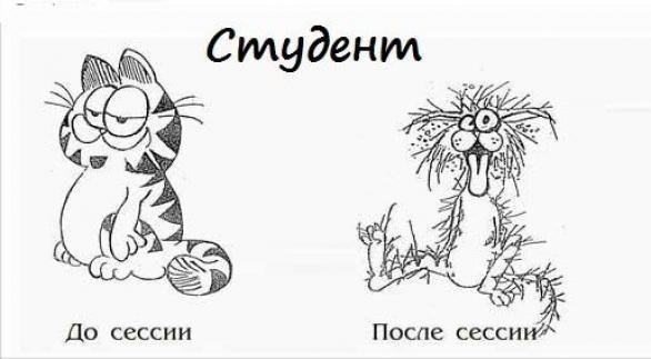 Сессия демотиваторы