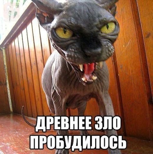 Злой прикол