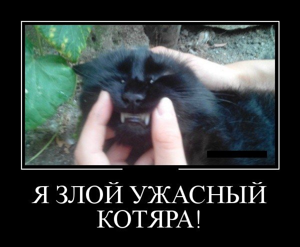 Демотиватор я злой