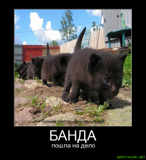 Банда смешные картинки