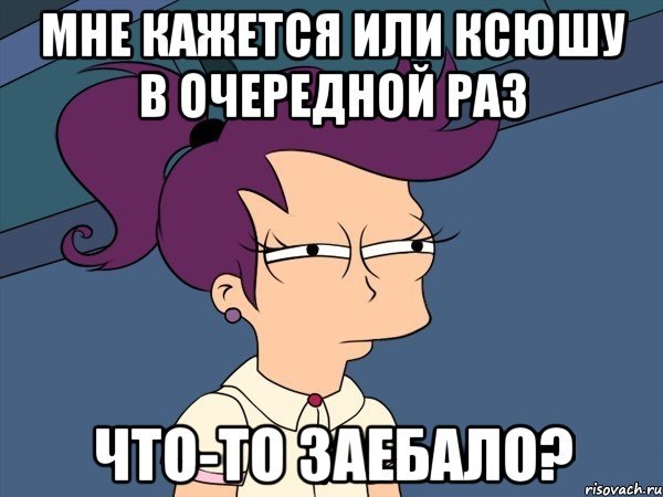 Шутки про Ксюшу смешные