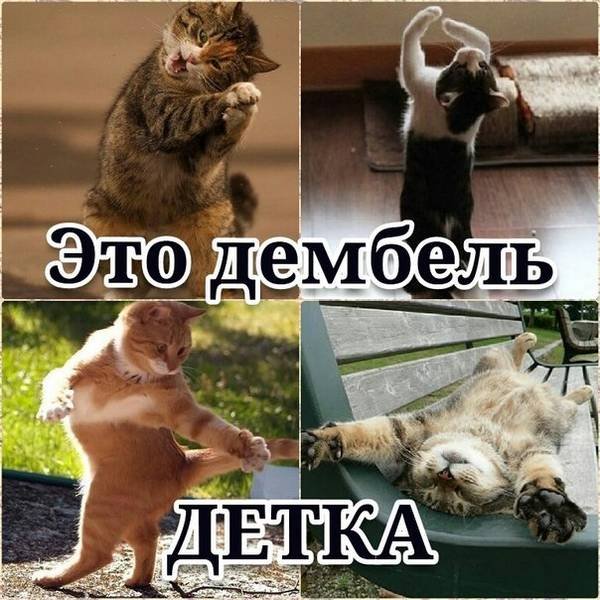 Поздравления с дембелем прикольные