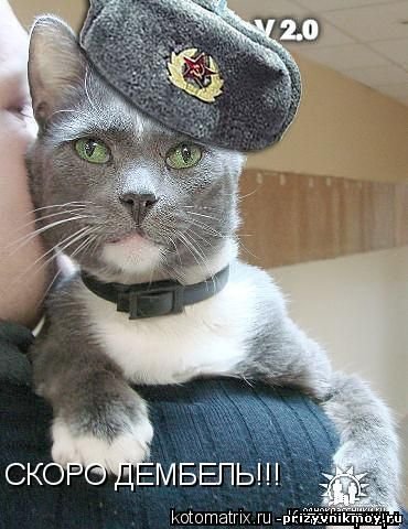 Скоро дембель