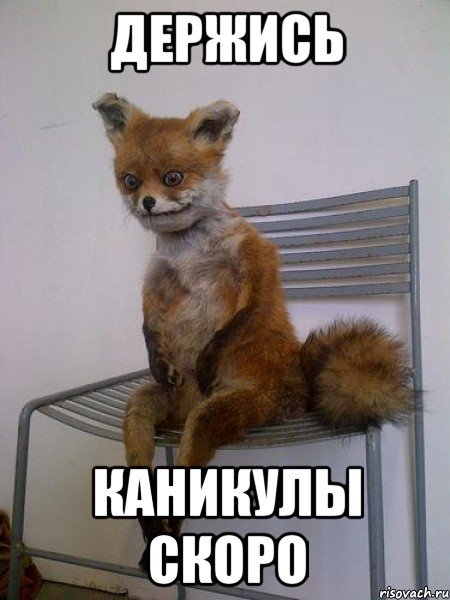 Скоро каникулы