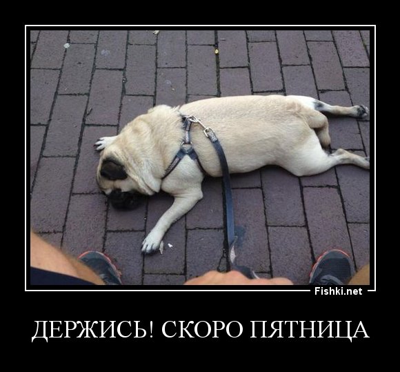 Держитесь скоро пятница
