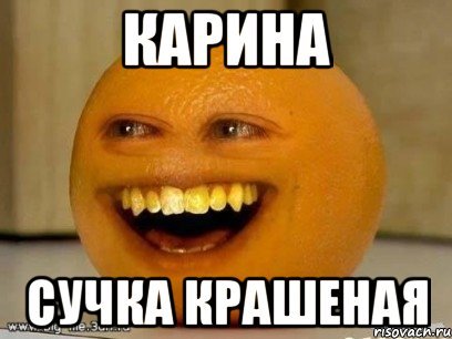 Мемы про Карину