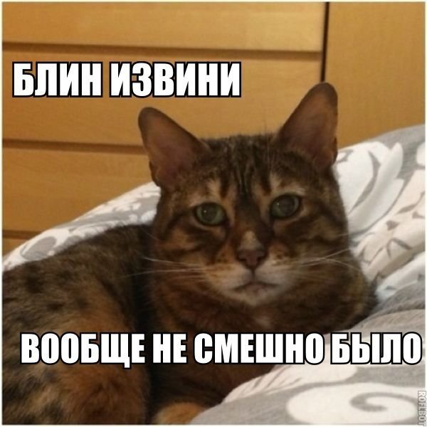 Мемы с извинениями