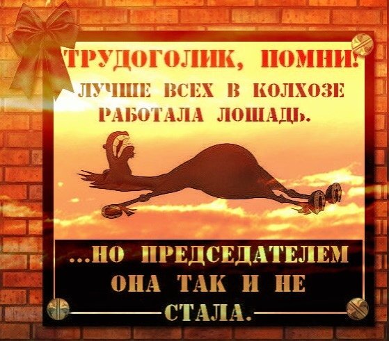Лошадь но председателем так и не стала