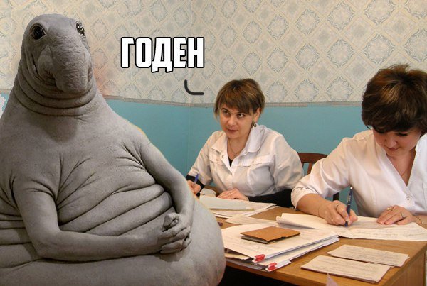 Мемы про медкомиссию