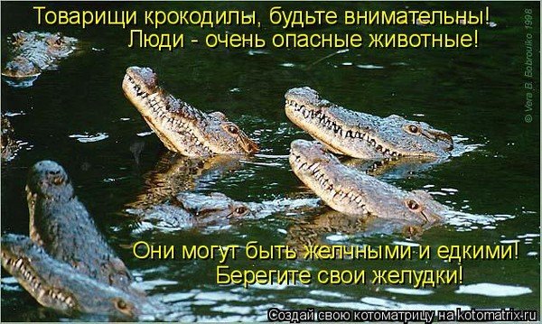 Анекдот про крокодила
