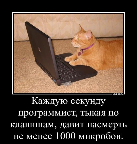 С днем программиста котик