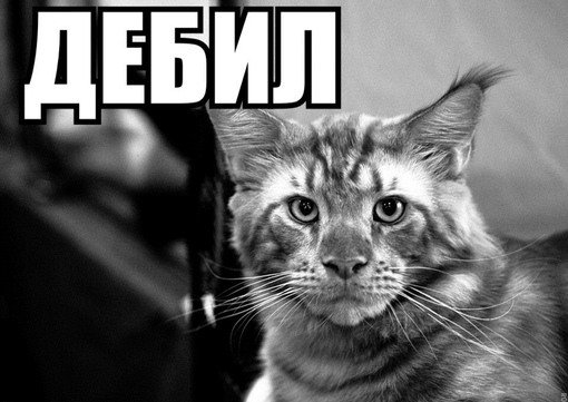 Картинка я дебил