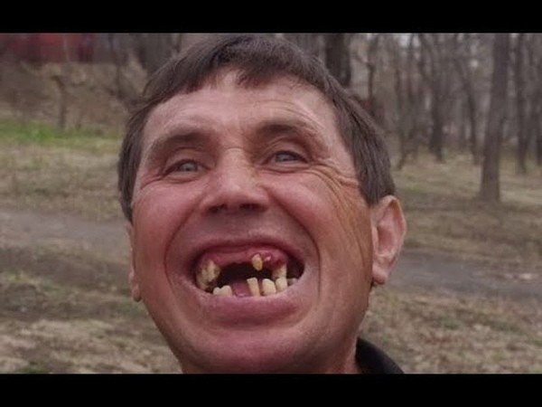 Мой хозяин идиот демотиватор