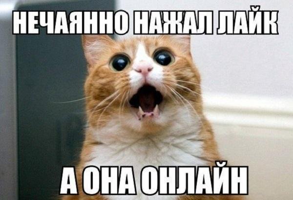Открытка я в шоке