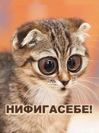 Обалдеть надпись