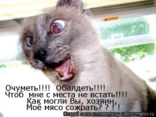 Я обалдела картинки